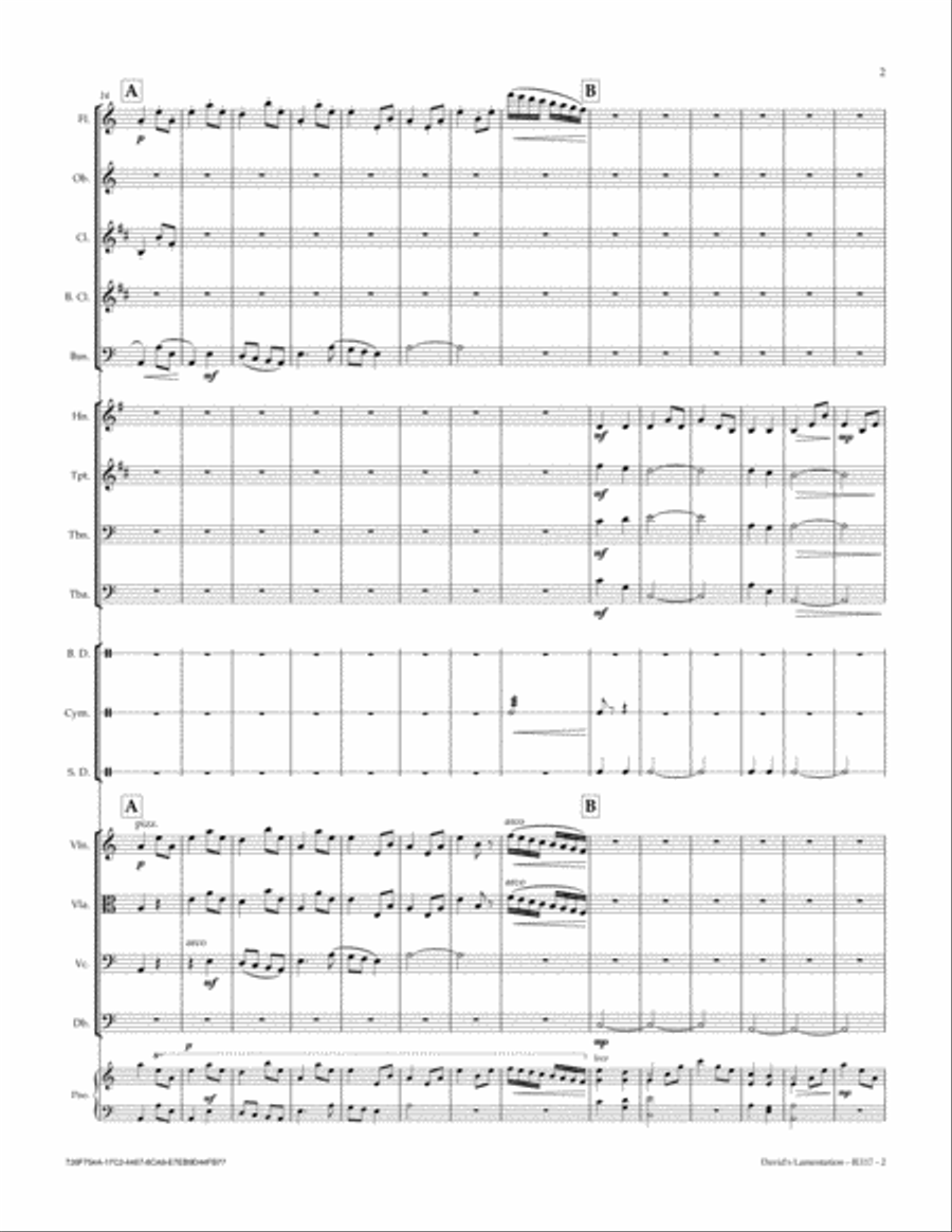 David's Lamentation Full Orchestra scores gallery preview page 3