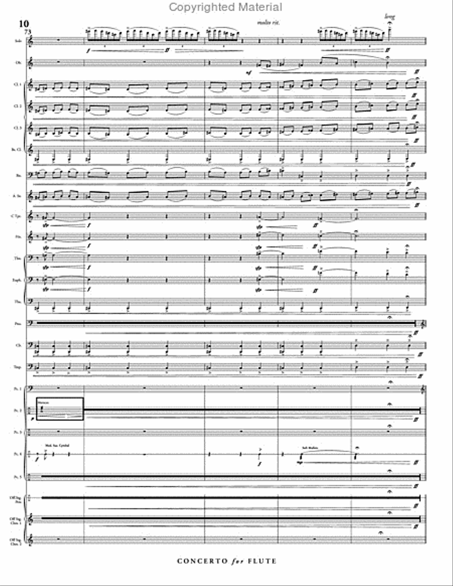 Concerto for Flute & Wind Ensemble Concert Band scores gallery preview page 11
