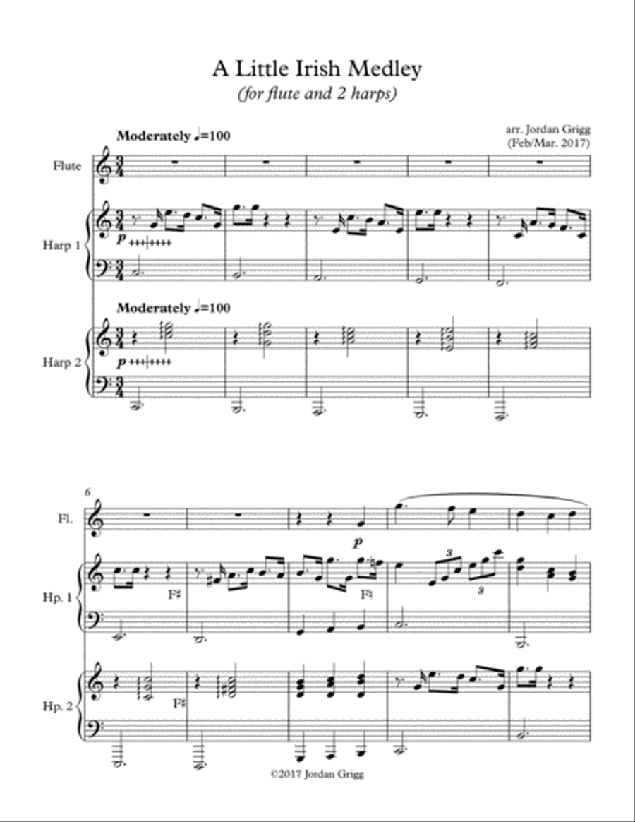 A Little Irish Medley A Little Irish Medley Flute scores gallery preview page 1