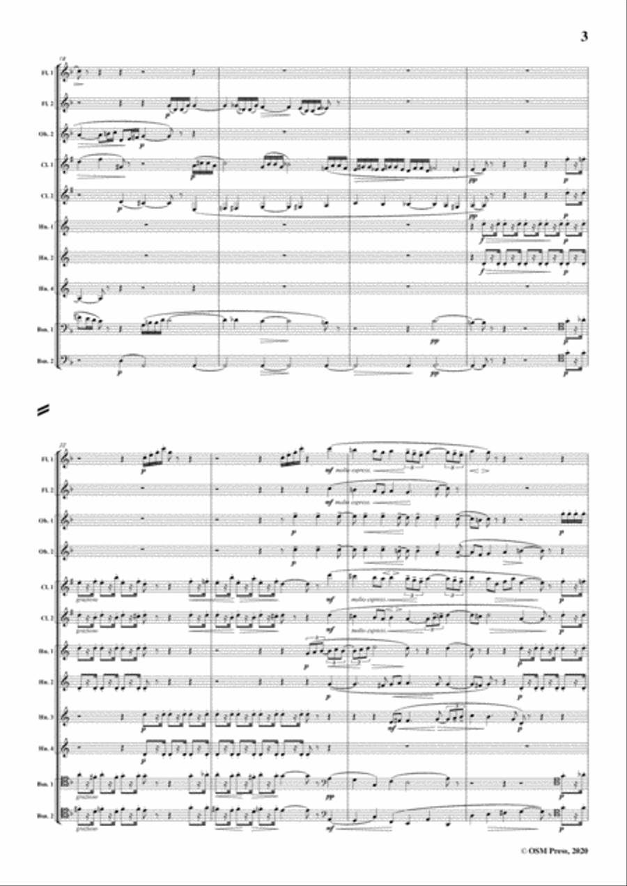Berger-Serenade,Op.102.for Twelve Winds Woodwind Quintet scores gallery preview page 5