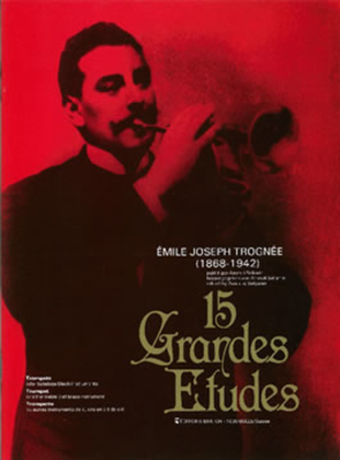 Book cover for 15 Grandes Etudes