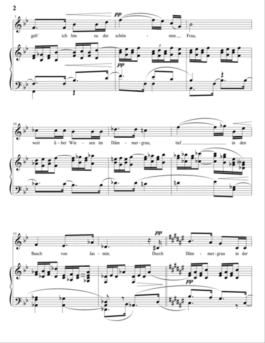 STRAUSS: Traum durch die Dämmerung, Op. 29 no. 1 (transposed to F-sharp major) Voice scores gallery preview page 3