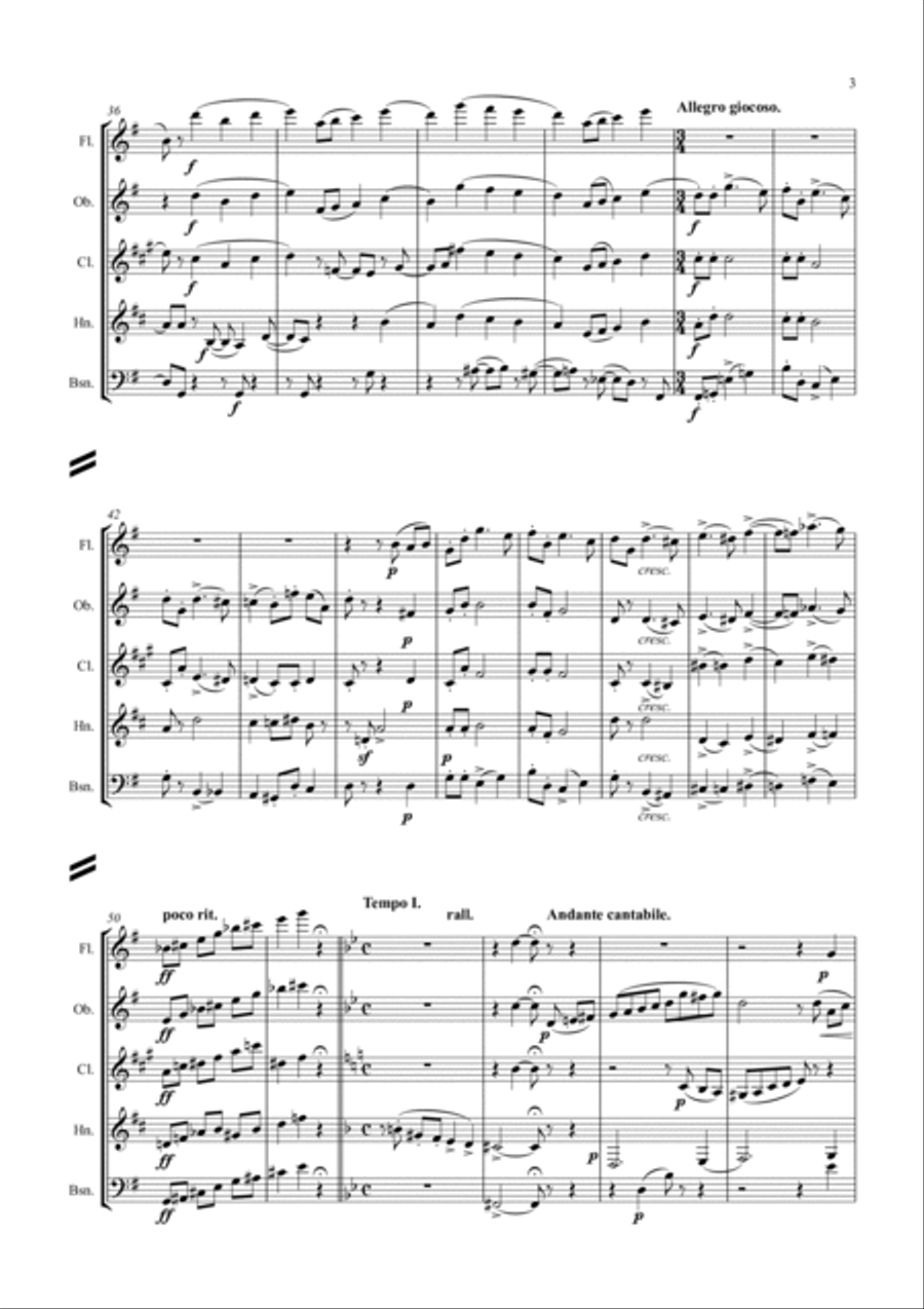 Tchaikovsky: The Seasons Op.37a No.6 June (Barcarolle) - wind quintet Woodwind Quintet scores gallery preview page 3
