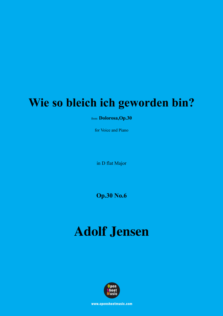 A. Jensen-Wie so bleich ich geworden bin?,Op.30 No.6,in D flat Major Voice scores gallery preview page 1