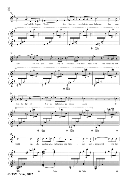 Richard Strauss-Wasserrose,Op.22 No.4,in e minor image number null