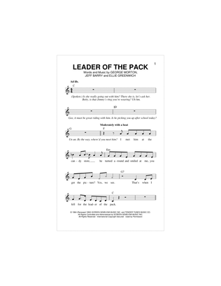 Book cover for Leader Of The Pack