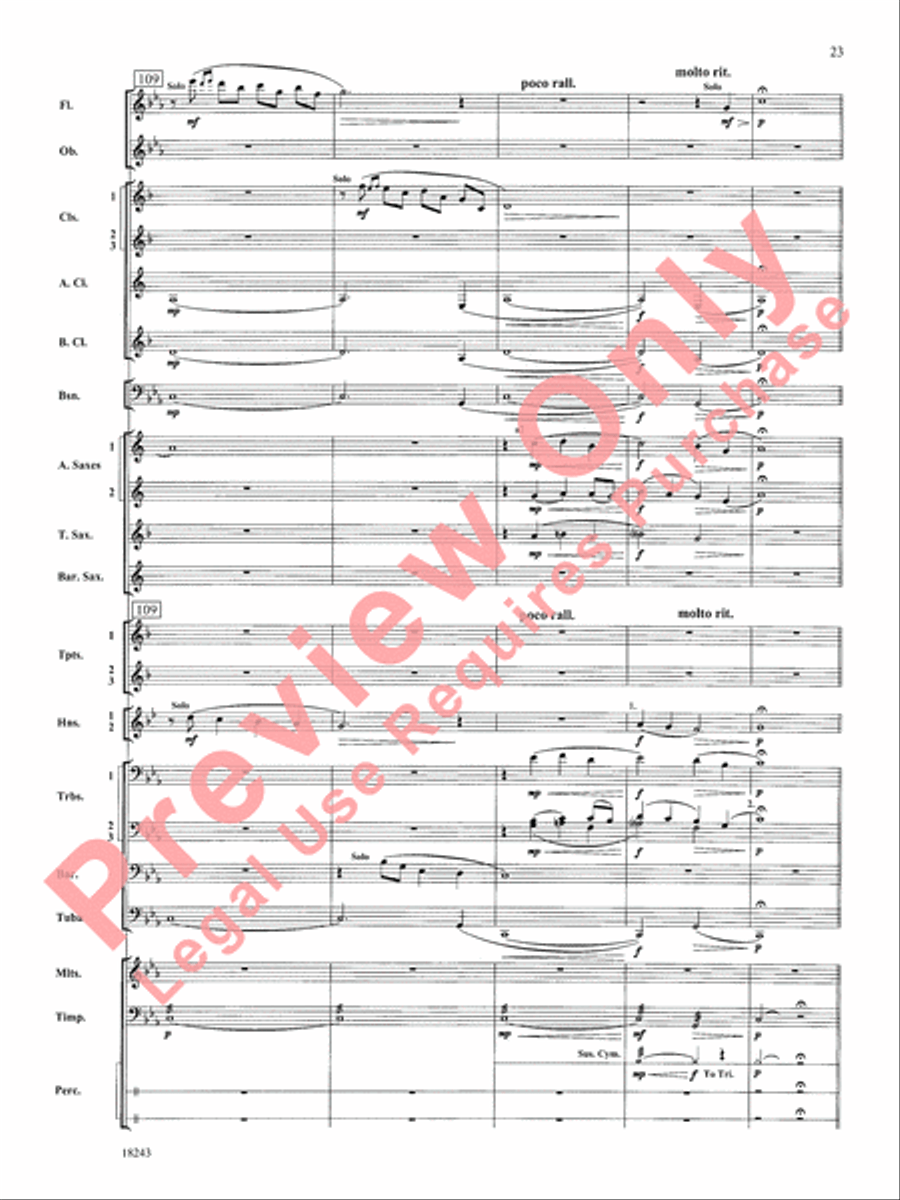 A Longford Legend A Longford Legend Concert Band scores gallery preview page 24