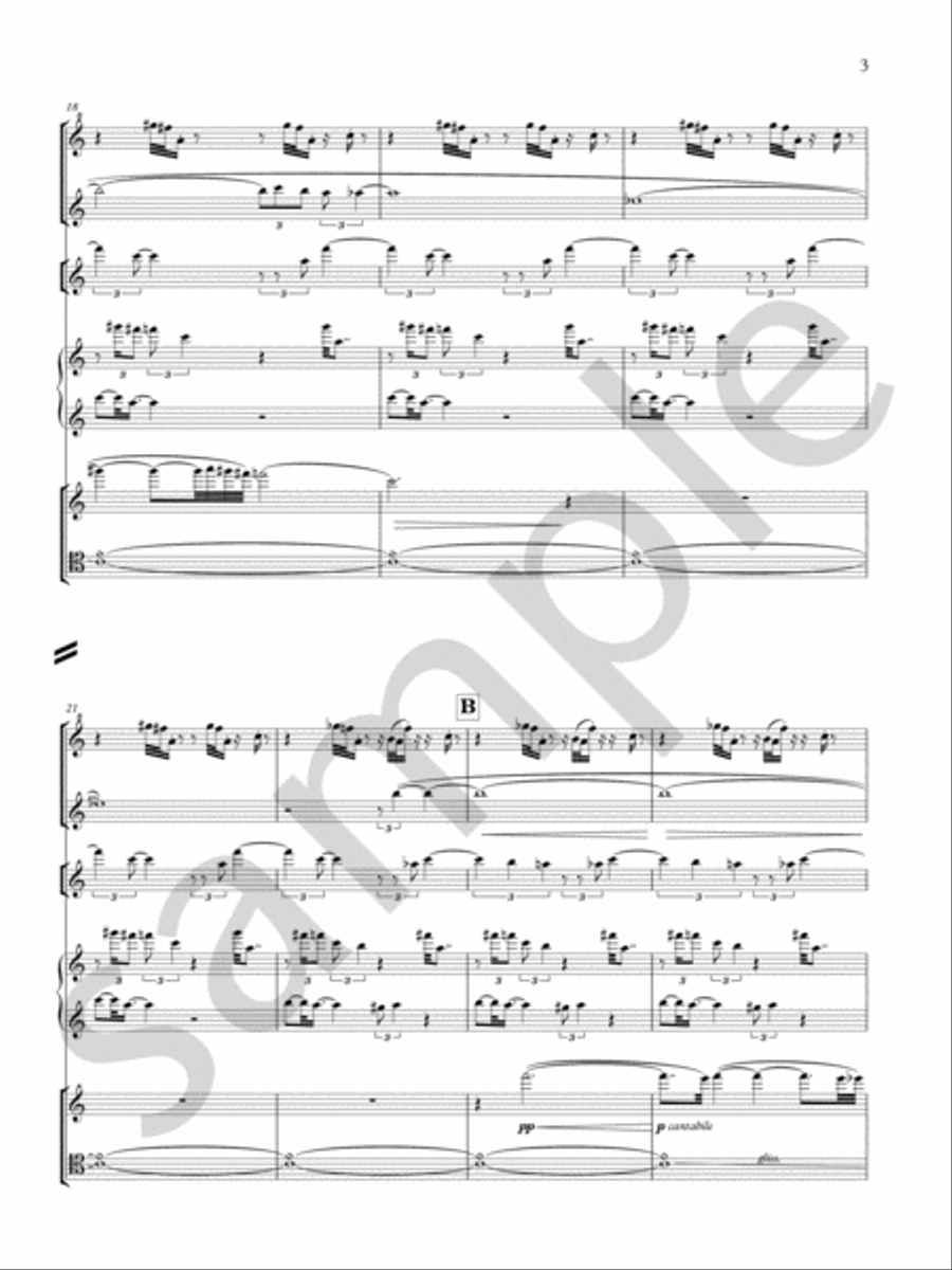 Cantus Cantus Chamber Music scores gallery preview page 5