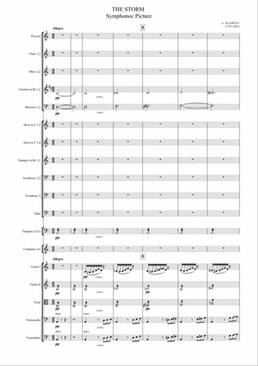 THE STORM Symphonic Picture Full Orchestra scores gallery preview page 1