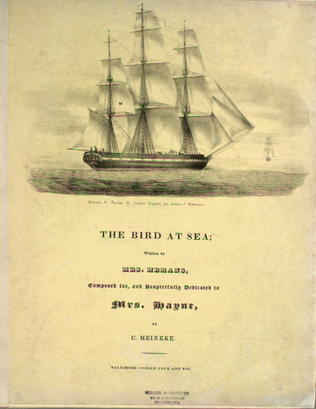The Bird at Sea