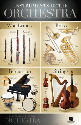 Instruments of the Orchestra - 22'' x 34'' Poster