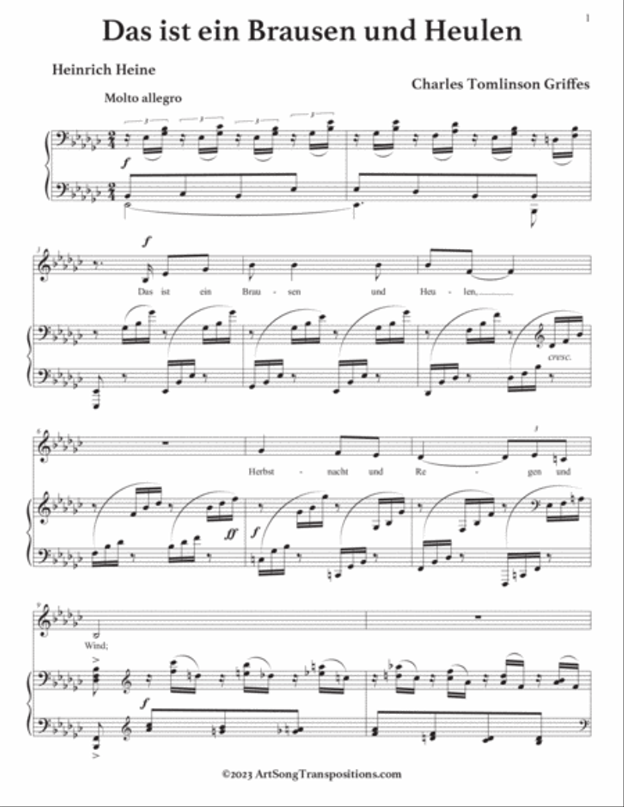 GRIFFES: Das ist ein Brausen und Heulen (transposed to E-flat minor) Voice scores gallery preview page 2