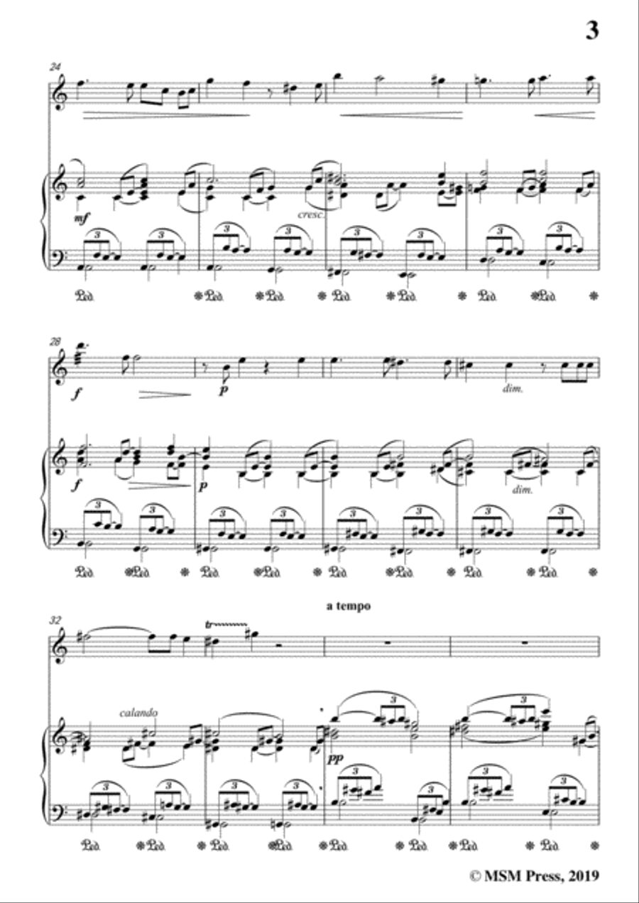 Richard Strauss-Die Georgine, for Violin and Piano Violin Solo scores gallery preview page 5