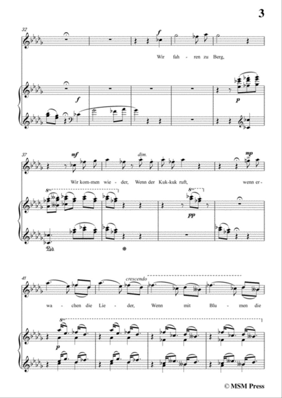 Liszt-Der hirt in D flat Major,for Voice and Piano Voice Solo scores gallery preview page 5