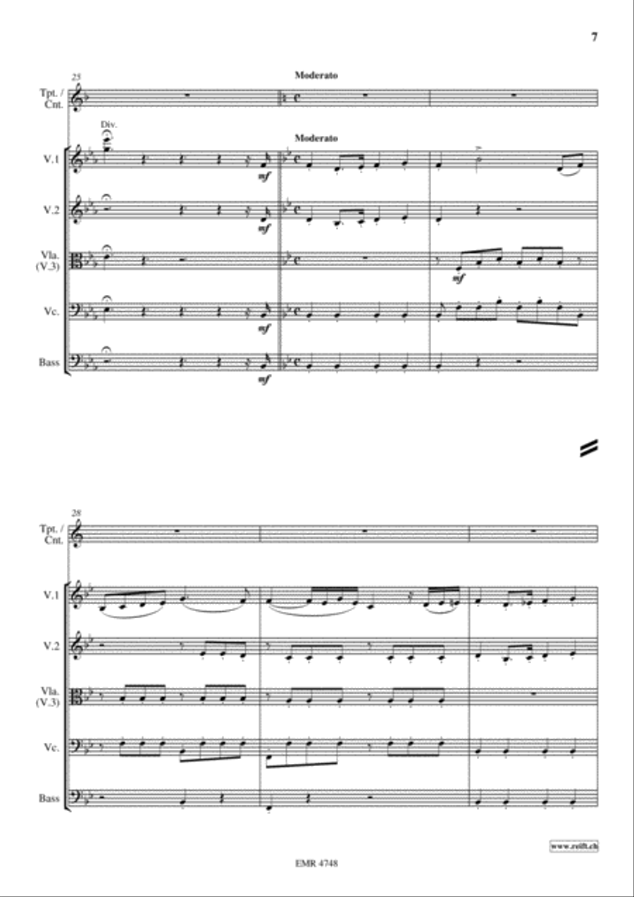 Variations On Bellini's Norma String Orchestra scores gallery preview page 7