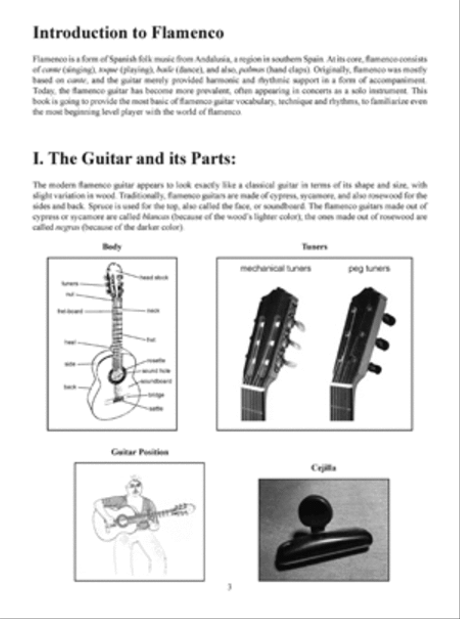 First Lessons Flamenco Guitar