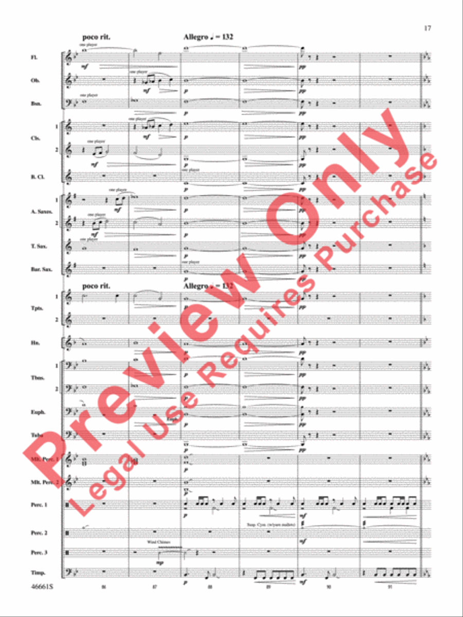 Nine Mile Saga Nine Mile Saga Concert Band scores gallery preview page 18