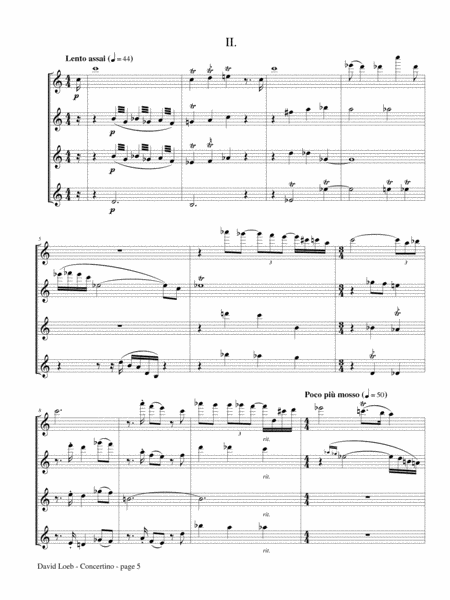 Concertino for Bass Flute Quartet