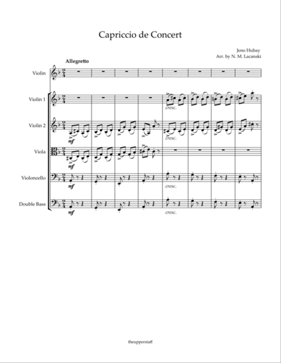 Capriccio de Concert String Orchestra scores gallery preview page 2