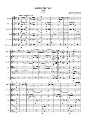 Symphony no 5 for strings - Score Only