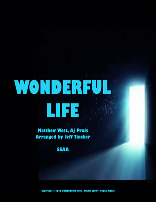 Wonderful Life