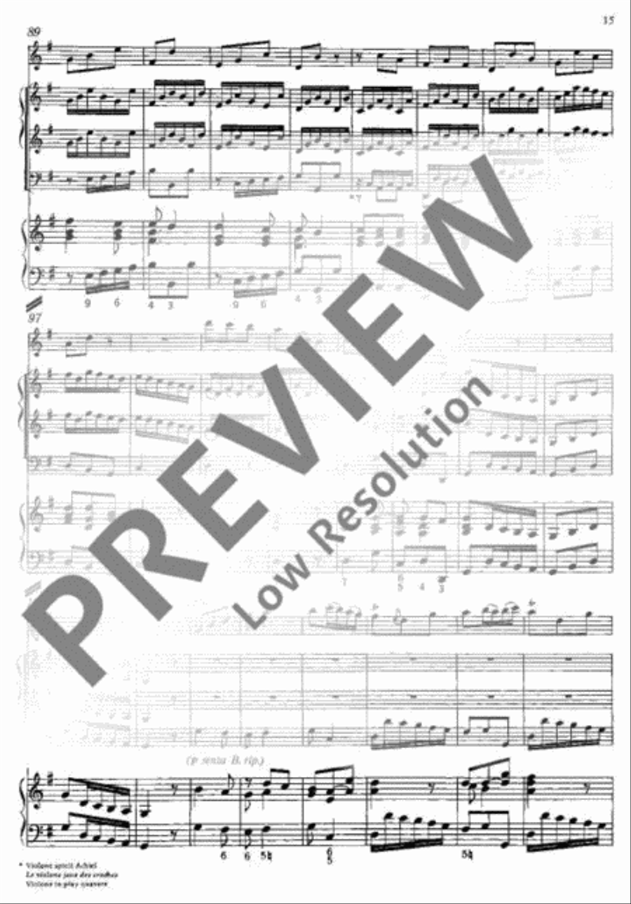 Concerto E minor Concerto E minor Flute Solo scores gallery preview page 16