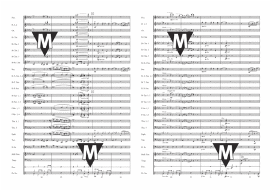 Always Look on The Bright Side of Life Concert Band scores gallery preview page 8
