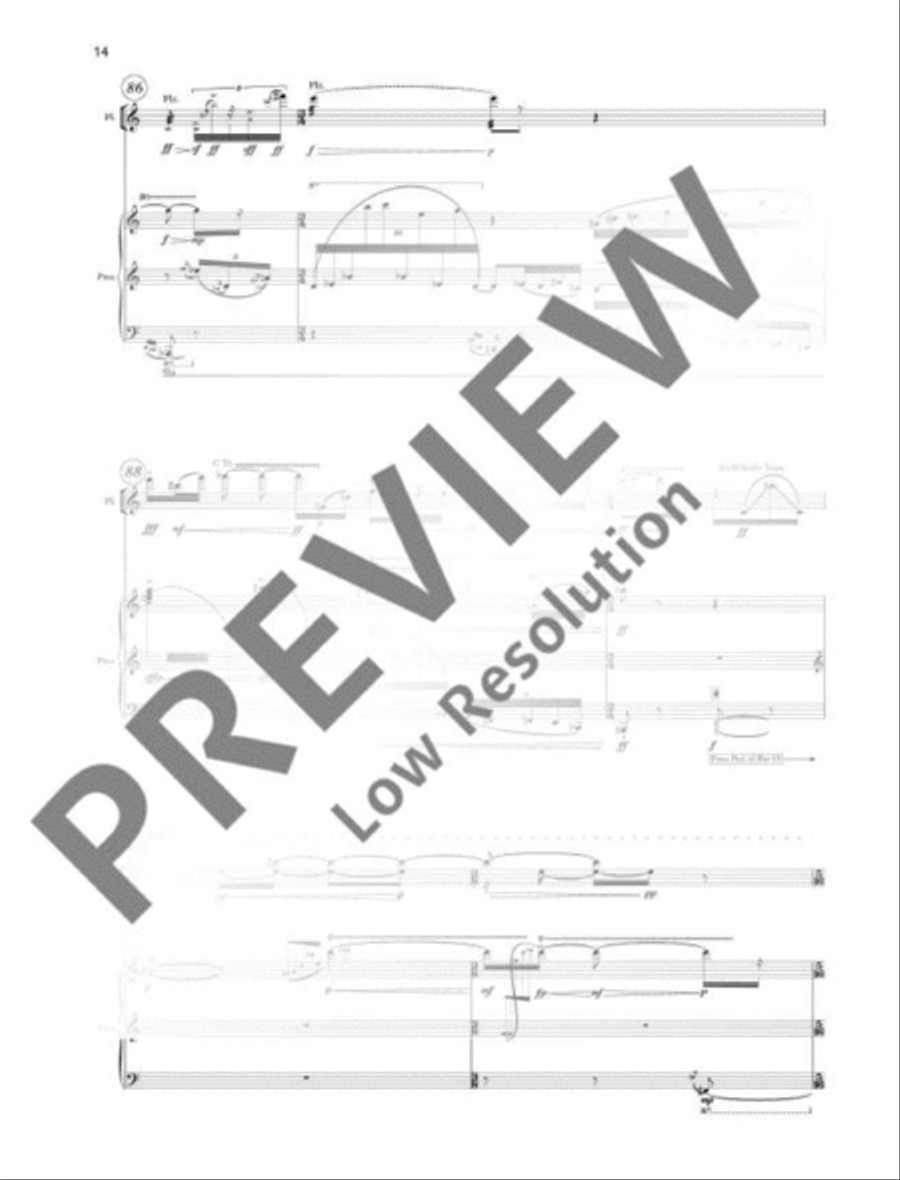 Paradromes III Flute Solo scores gallery preview page 15