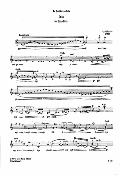 Solo for Bass Flute