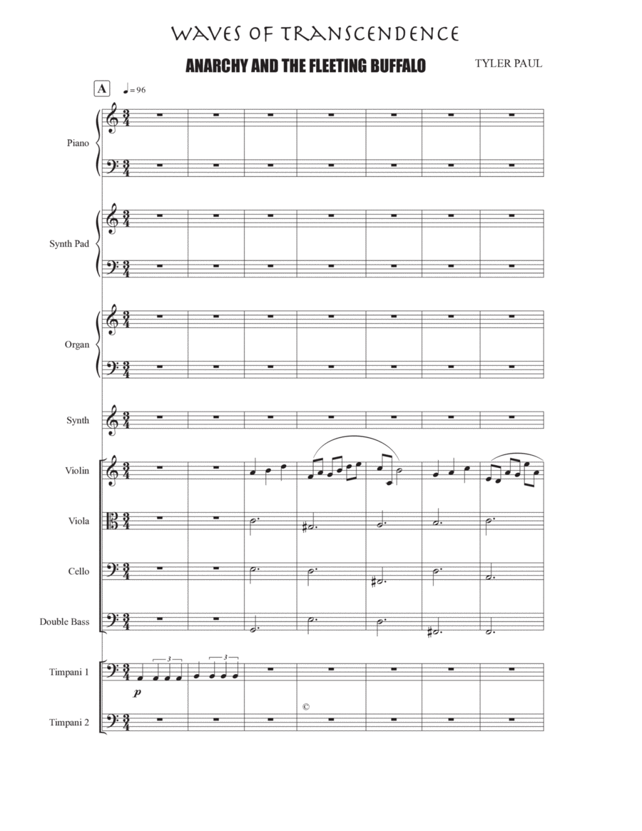 Waves of Transcendence: Anarchy and the Fleeting Buffalo Chamber Music scores gallery preview page 1