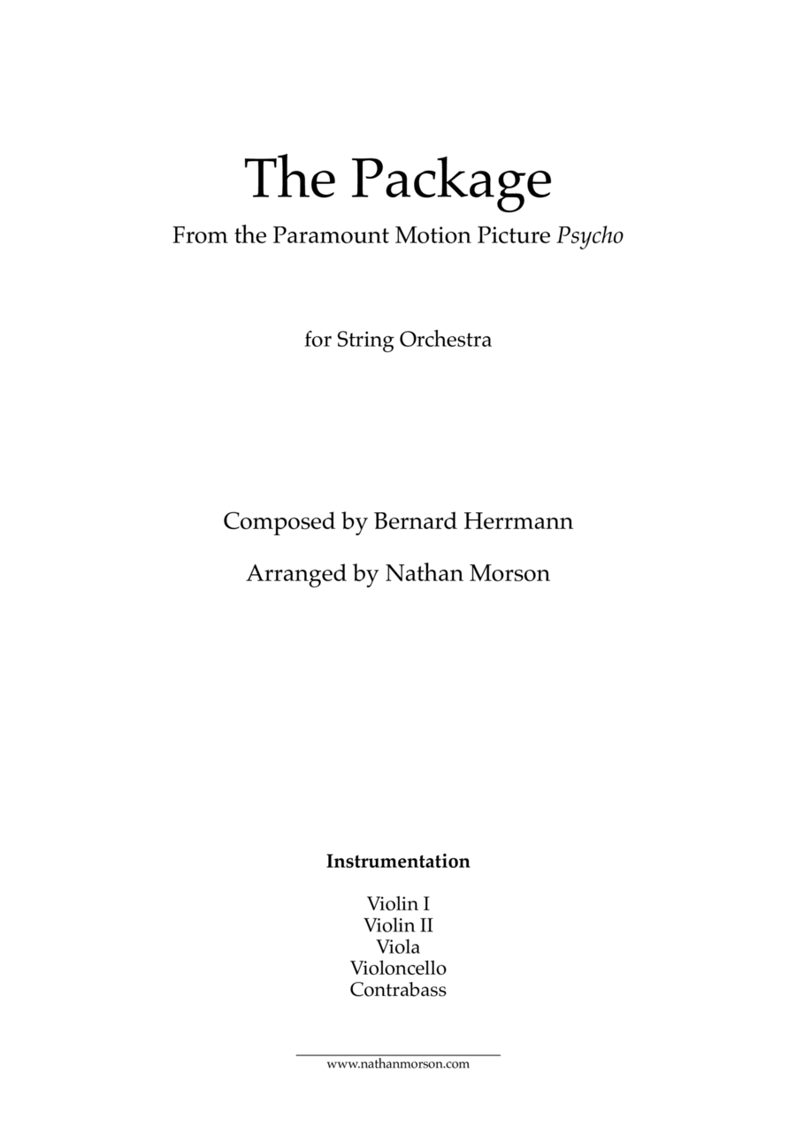 Book cover for The Package