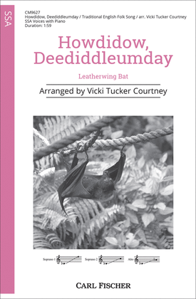 Book cover for Howdidow, deediddleumday