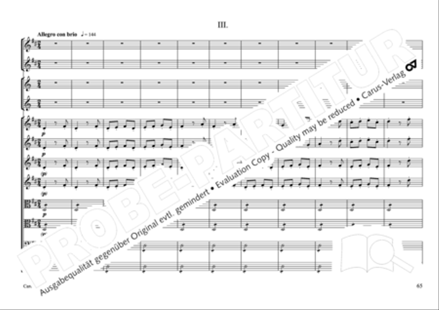 Concertone in D major Horn scores gallery preview page 66