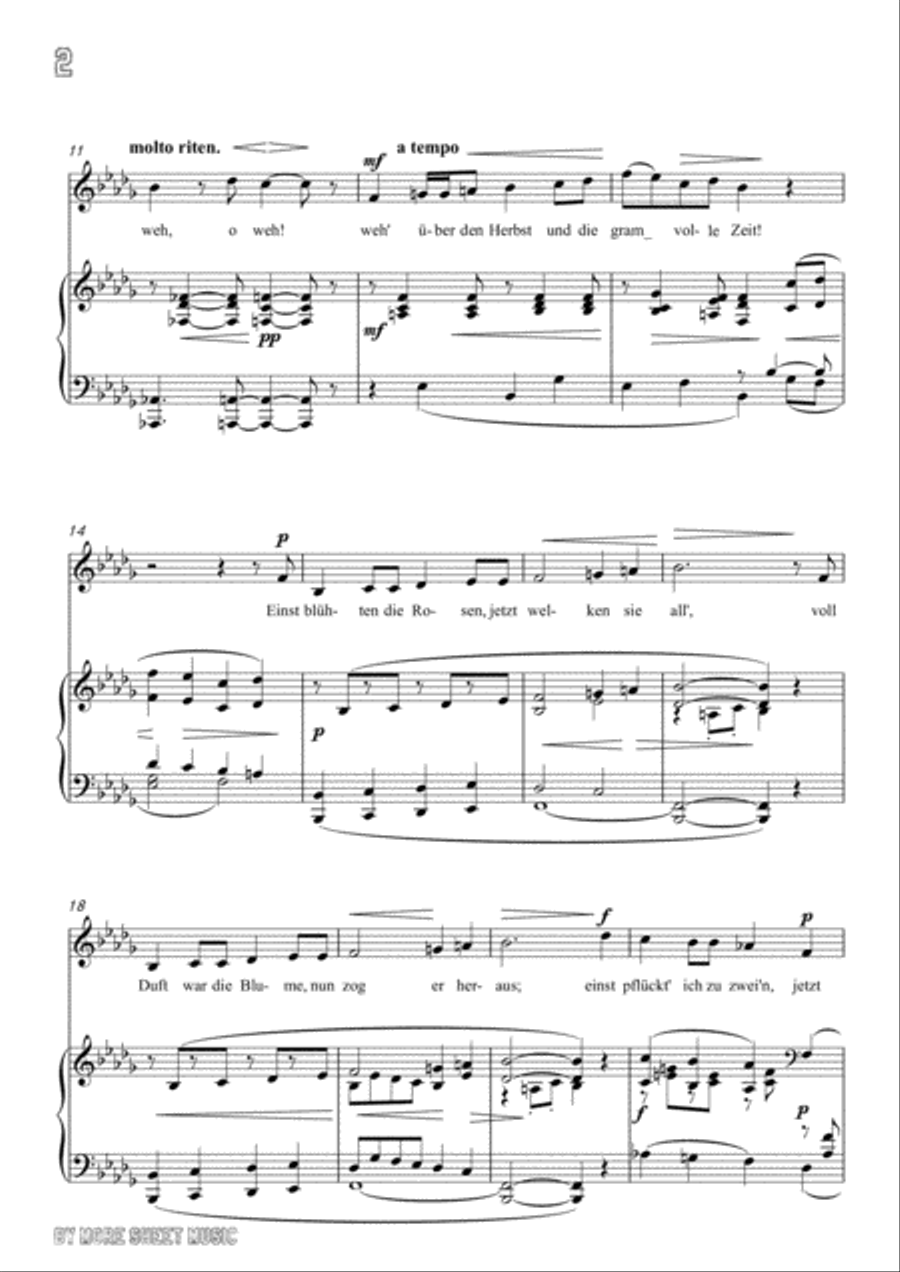 Franz-Im Herbst in b flat minor,for voice and piano Voice Solo scores gallery preview page 4