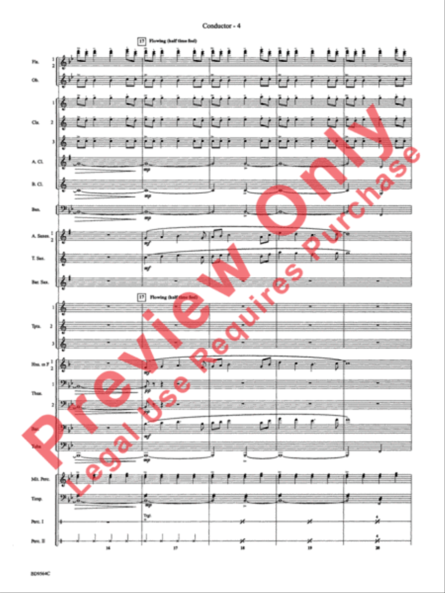 Where the Black Hawk Soars Concert Band scores gallery preview page 7