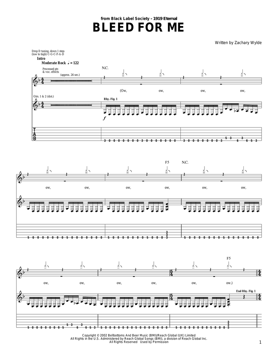 Bleed For Me Acoustic Guitar scores gallery preview page 1