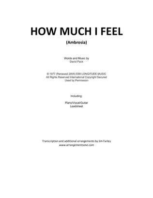 Book cover for How Much I Feel