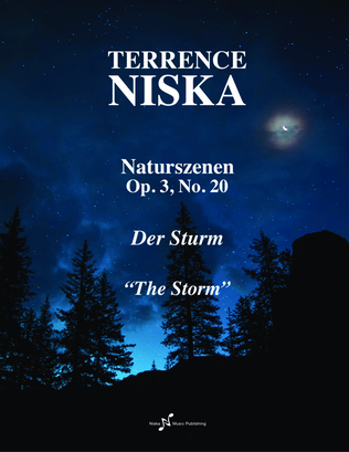 Naturszenen Op. 3, No. 20 "Der Sturm"