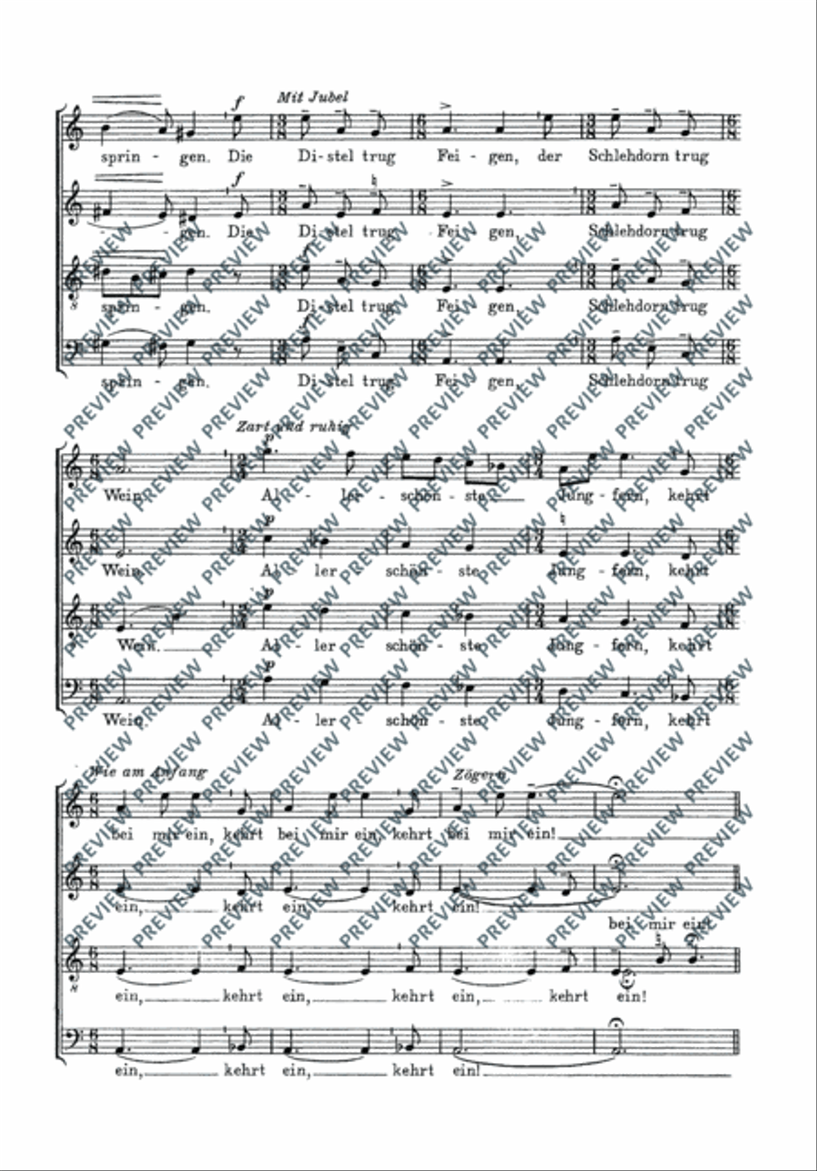Magic and blessing Magic and blessing 4-Part scores gallery preview page 14