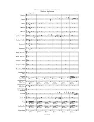 Manheim Sinfonietta