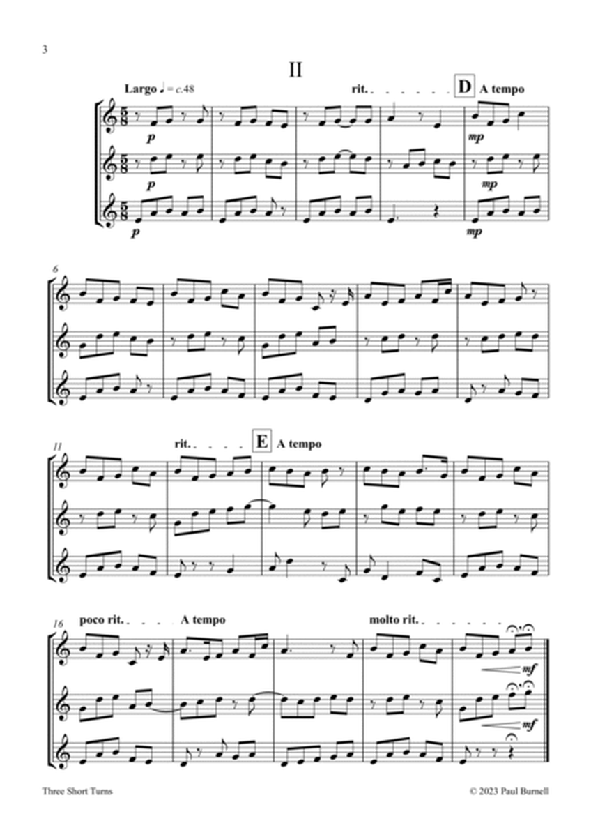 Three Short Turns, for Recorder Trio (SAT) - Score and Parts image number null