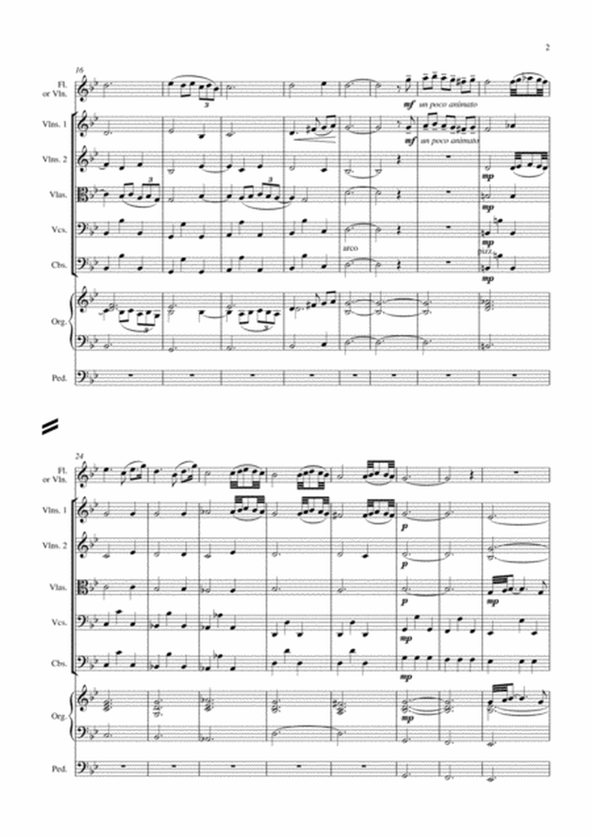 Adagio in g minor for flute, strings and organ