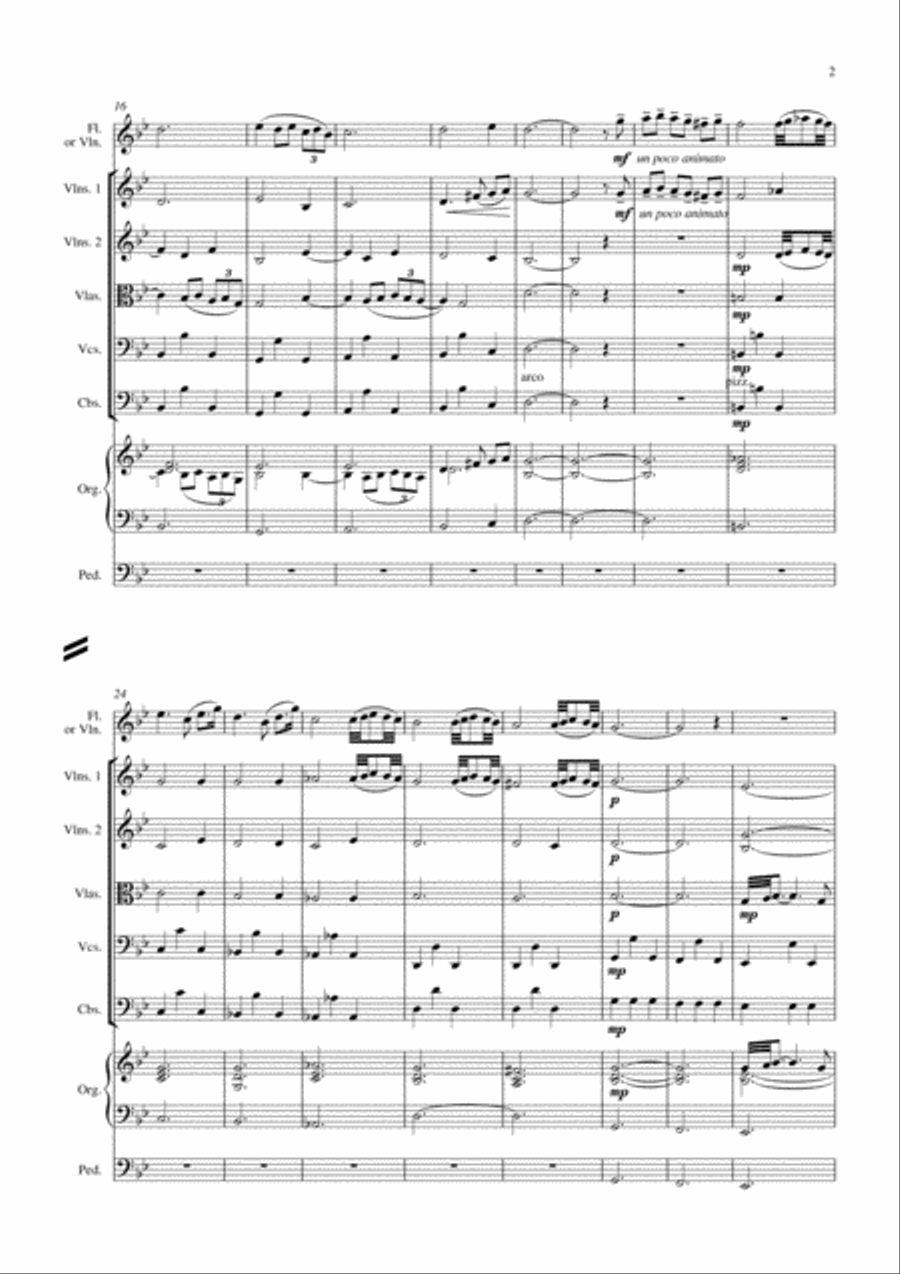 Adagio in g minor for flute, strings and organ String Orchestra scores gallery preview page 4