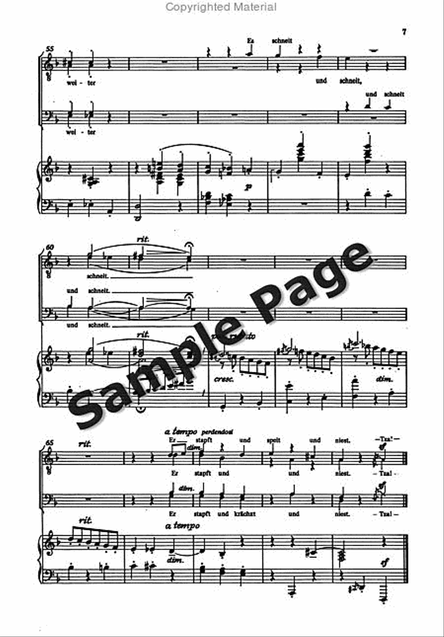Erkalteter Landsknechte TTBB scores gallery preview page 8