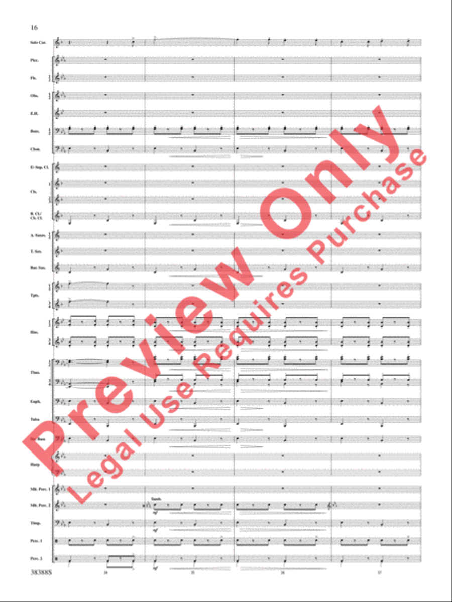 Napoli Napoli Concert Band scores gallery preview page 17