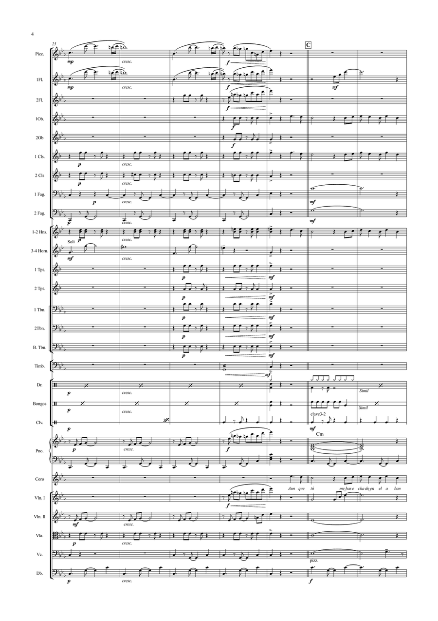 Lagrimas Negras Full Orchestra scores gallery preview page 4