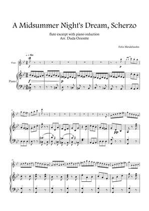 FLUTE Excerpt - A Midsummer Night's Dream Scherzo (WITH piano)
