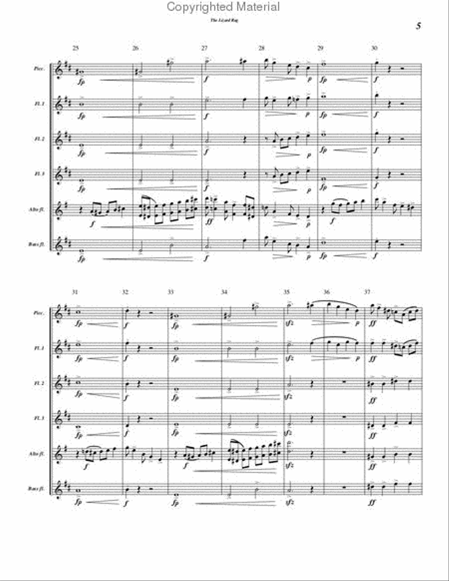 The Lizard Rag Flute Choir scores gallery preview page 5