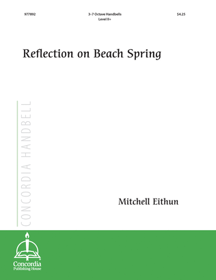 Reflection on Beach Spring