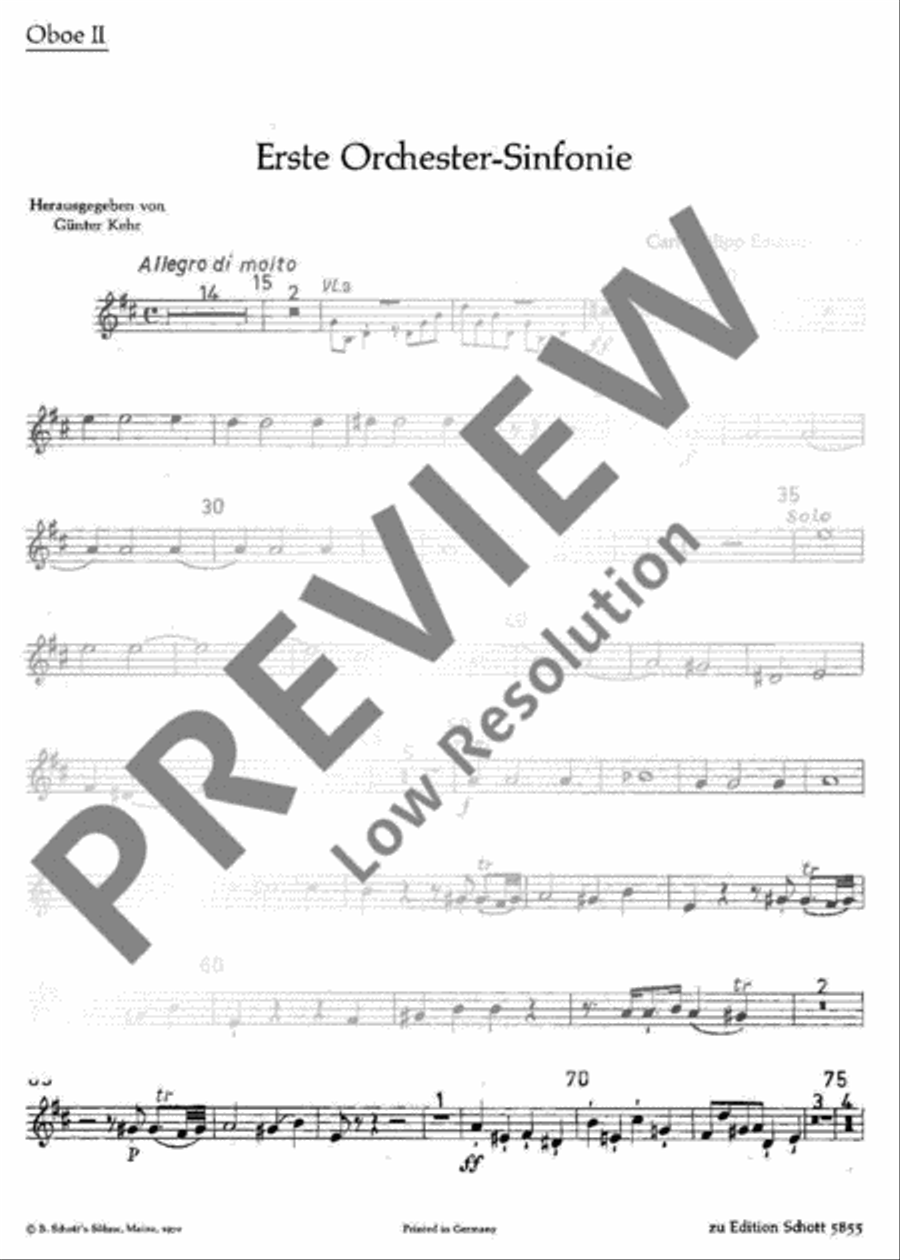 Symphony No. 1 Flute scores gallery preview page 14